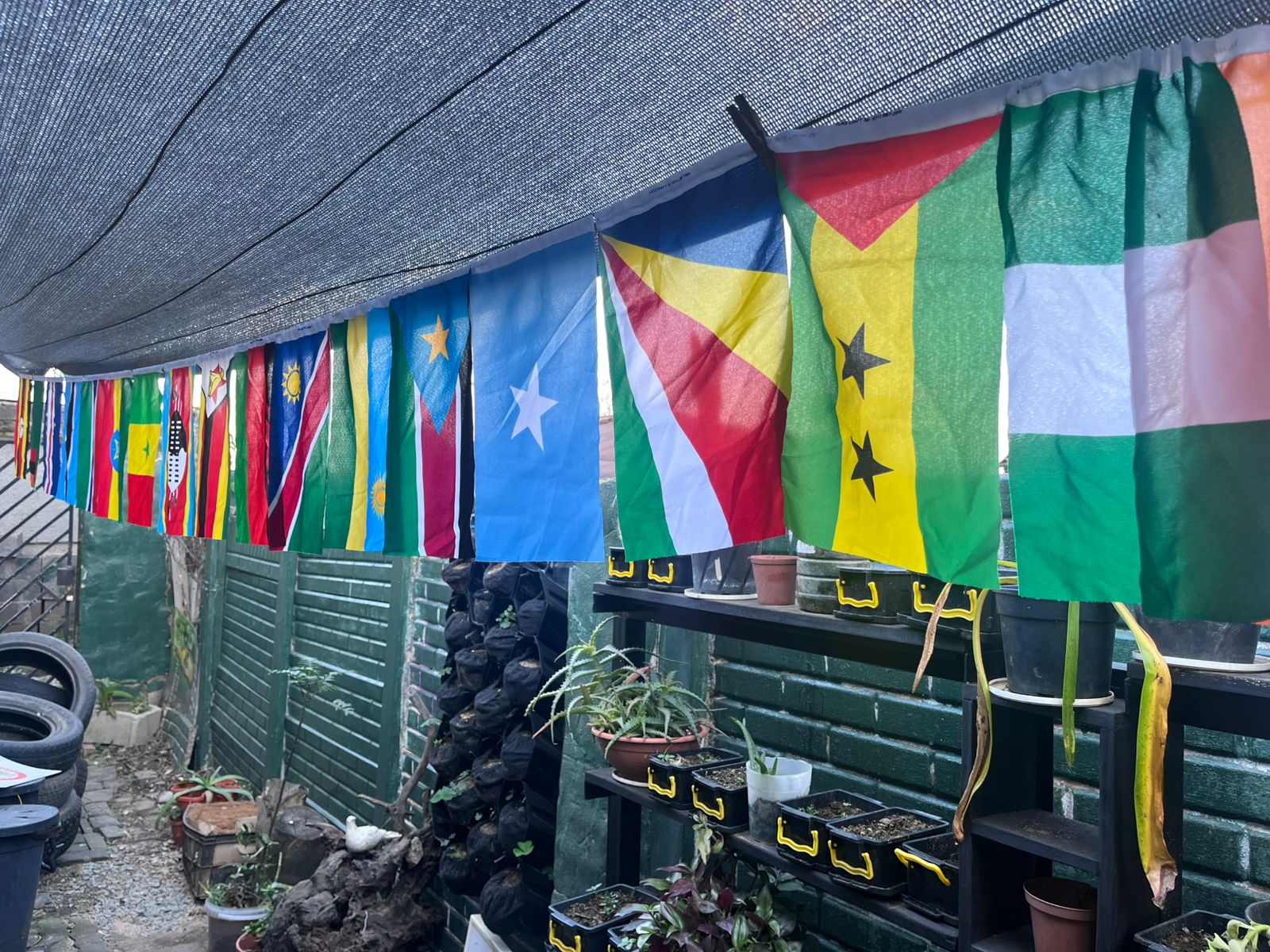 Africa Day
